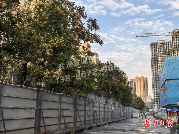 点击查看高清原图 点击查看高清原图